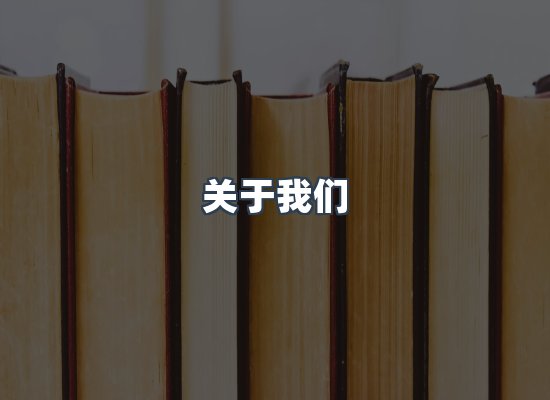 专业团队